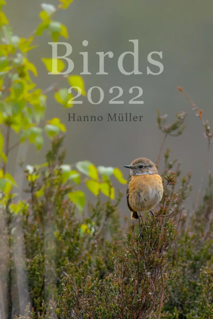 Cover of the 2022 calendar